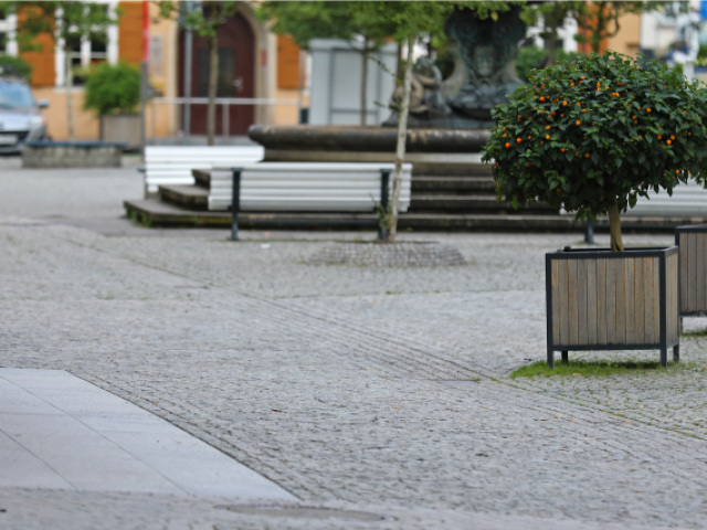 Marktplatz Bad Schandau
